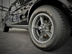 mustang 11