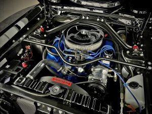 mustang 5