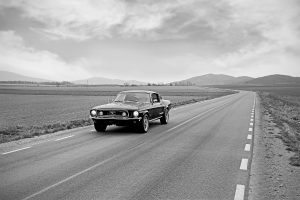 wynajem aut foto 1 male bw