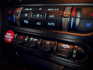 mustang19