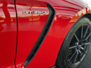 mustang5