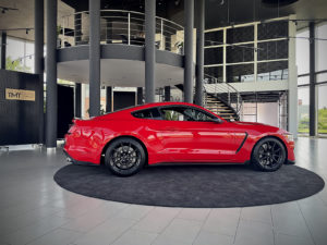 mustang8